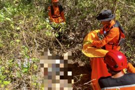 Tim SAR berhasil temukan lansia yang hilang di Hutan Gunungkidul