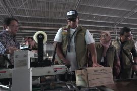 Dirut Bulog perintahkan penarikan produk MinyaKita berbau solar