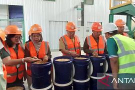 Kementan dukung perusahaan perbanyak benih jagung kualitas pangan