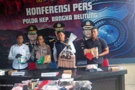 Polda Babel ungkap 289 kasus narkoba selama Semester I 2026, tersangka naik 16,7 persen