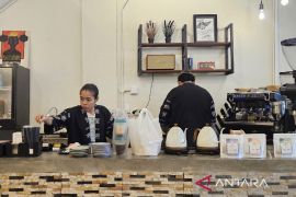 DJP catat 12,82 persen UMKM di Papua manfaatkan tarif PPh final 0,5 persen