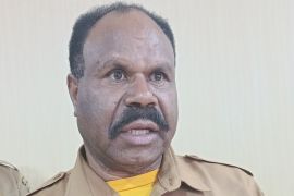 Pemprov Papua Pegunungan buka lahan pertanian 24 hektare selama 2026