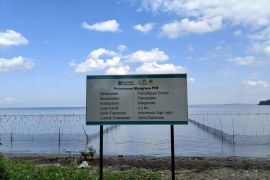 PLN Sulawesi bantu pengembalian ekologis pesisir Jeneponto