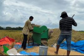 Bulog Aceh pastikan harga beli gabah di atas HPP