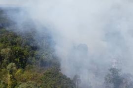 11 dari 12 kabupaten/kota di Riau tetapkan siaga karhutla