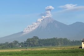 Semeru erupsi dengan kolom abu setinggi seribu meter