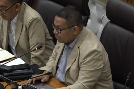 Badan Keahlian DPR RI: Publik tak menolak pembangunan kawasan industri