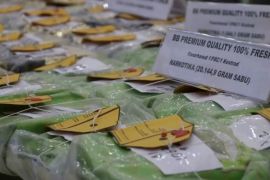Komitmen Astacita, pemerintah sita 214,84 ton narkoba dalam setahun