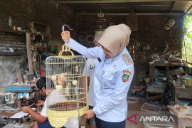 Wakil Wali Kota Surakarta tinjau kesiapan industri sangkar burung