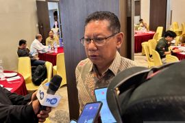 Indonesia's mangroves gain global spotlight for climate role