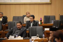 Legislator dorong anggaran afirmatif dalam RUU Daerah Kepulauan