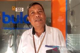 Bulog Kotim pastikan stok beras aman hingga 15 bulan