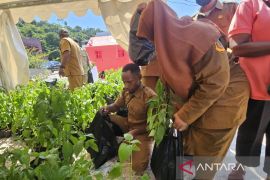 BPS sebut kenaikan NTP Papua pada Juni 2026 ditopang hortikultura