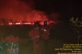 Tim gabungan berhasil padamkan karhutla 10 hektare dekat Tol Palindra