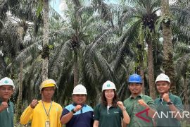 Integritas dan Transparansi Astra Agro berbuah penghargaan INSTAR 2025