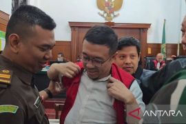 Dalang perusakan rumah Nenek Elina divonis 3 tahun 10 bulan penjara