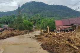Kemenhut prioritaskan rehabilitasi hulu sungai di Aceh, Sumut, Sumbar
