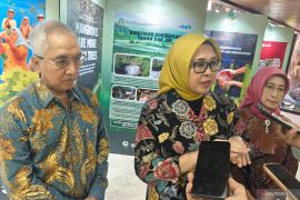 Indonesia flags 250 critical watersheds for 5-year recovery program