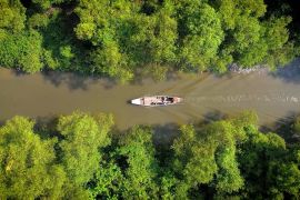 Mangrove sebagai tolok ukur peradaban