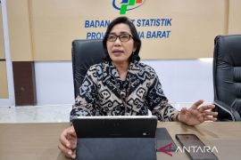 BPS sebut pelemahan industri pengolahan tekan ekspor Papua Barat Daya