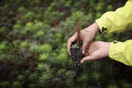 Tetra Pak Advances Food System Resilience as It Cuts GHG Emissions Across the Value Chain by Over a Third