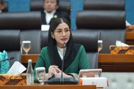 Anggota DPR: Pemerintah perkuat regulasi perlindungan UMKM era digital