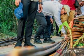 Pemkot Bogor libatkan 40 warga sekitar dalam bangun Jembatan Paledang-Pasir Jaya