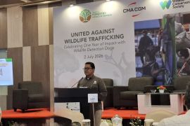 Kemenhut: Pencegahan perdagangan satwa liar lindungi dari zoonosis