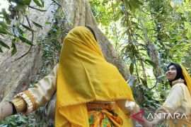 Pemkab-Sigi jadikan Festival Hutan Ranjuri sebagai aksi jaga alam