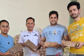 Pemkab Kerinci intervensi petani kayu manis melalui bantuan bibit