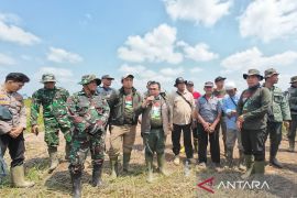 Tim gabungan tertibkan kebun kelapa sawit ilegal dalam kawasan TNBS