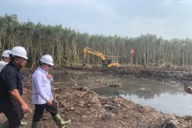 KSP Dudung pastikan petani program cetak sawah dapatkan pupuk gratis
