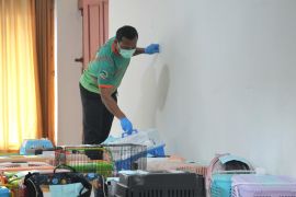 KPKP Jakut targetkan sterilisasi 1.700 kucing pada 2026