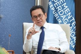 Indonesia's foreign trade stays strong despite May deficit: Minister