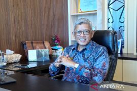 Gov't disburses Rp2.29T regional funds to Southwest Papua as of May