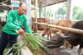Lampaui target, program kurban Baznas sukses angkat ekonomi mustahik