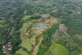 Genesis: 648 hektare lahan bekas tambang di Bengkulu belum direklamasi