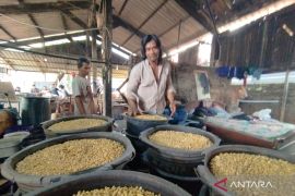 Harga kedelai impor di Kudus mengalami penurunan