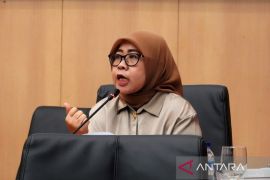 RUU Daerah Kepulauan perkuat afirmasi dan perlindungan wilayah pesisir