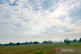 Kabupaten Cirebon berlakukan siaga darurat kekeringan hingga September 2026
