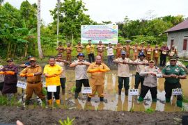 BI sebut sektor pertanian masih dominasi tenaga kerja di Papua