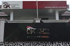 OJK sebut 1.030 laporan penipuan keuangan terjadi di Papua