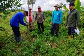 PLN dan Kantah Kukar Percepat Sertifikasi Aset SUTT Melak-Kota Bangun