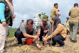 PT DSSP Power Kendari serahkan kawasan rehabilitasi DAS 32 hektare kepada negara