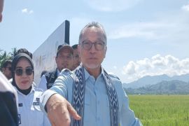 Menko Pangan salurkan bantuan beras kepada 25.000 penerima di Mamuju