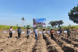 Kementan dorong percepatan hilirisasi komoditas perkebunan