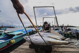 Indonesia forges maritime partnerships to bolster food security
