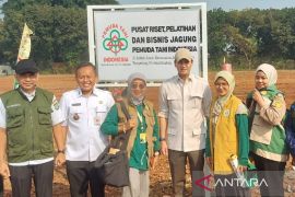 Pemkot Tangerang manfaatkan area bekas pabrik jadi lahan pertanian