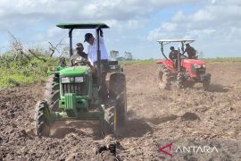Mentan Amran kawal cetak sawah dan oplah di Tanah Papua 137 ribu ha