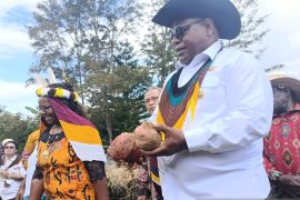 Pemkab Jayawijaya dorong budi daya pangan lokal demi ketahanan pangan